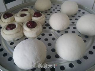 【东北】白馒头的做法步骤：5