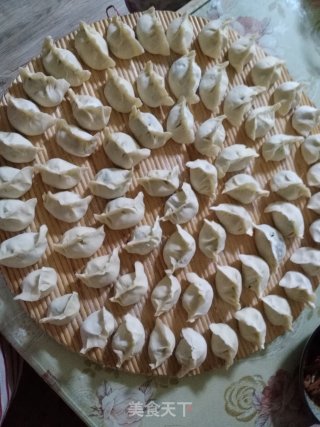 【山东】荠菜猪肉水饺的做法步骤：10