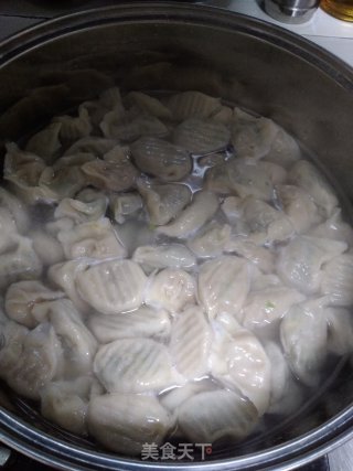 【山东】荠菜猪肉水饺的做法步骤：11