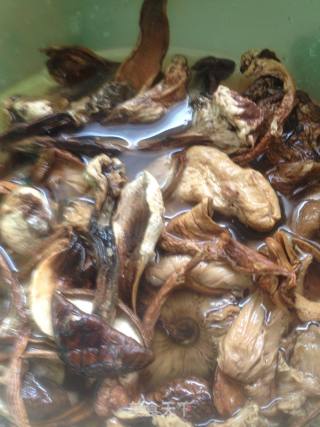 野生鸡枞菌炖肉的做法步骤：6