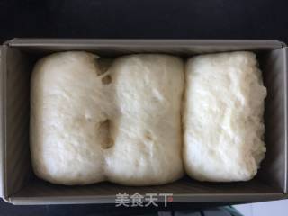【东北】汤种北海道吐司的做法步骤：16