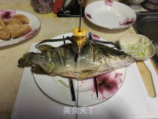 清蒸鲑鱼的做法步骤：1