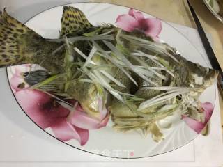 清蒸鲑鱼的做法步骤：3