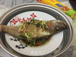 清蒸石斑鱼的做法步骤：3
