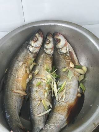 【东北】香煎岛子鱼的做法步骤：3