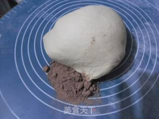 【东北】大理石花纹面包的做法步骤：4