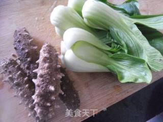 【东北】海参扒油菜的做法步骤：1