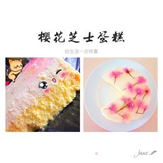 鹿小鹿——樱花芝士蛋糕的做法步骤：14