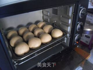 【东北】红豆小餐包的做法步骤：12