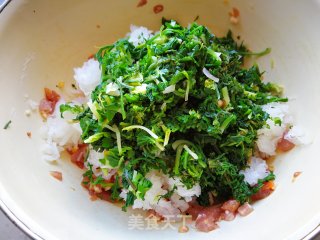 【烟台】萝卜丝猪肉包子的做法步骤：6