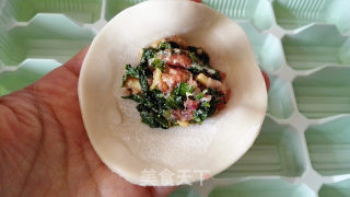 荠菜猪肉饺子的做法步骤：15