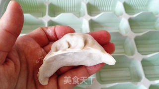 荠菜猪肉饺子的做法步骤：17