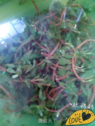 【山东】凉拌马齿苋的做法步骤：3
