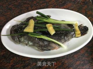 清蒸苏鼠斑的做法步骤：5