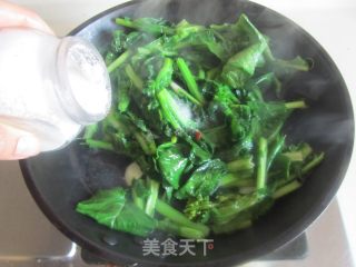 清炒江城菜心的做法步骤：4