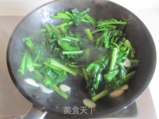 清炒江城菜心的做法步骤：5