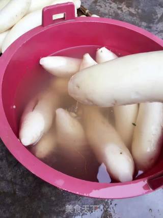 自制辣椒萝卜的做法步骤：2