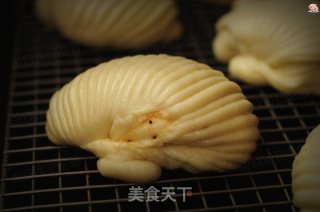 贝壳花卷的做法步骤：14
