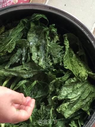 自制盐菜的做法步骤：3