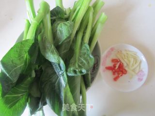 白灼蚝油菜芯的做法步骤：1