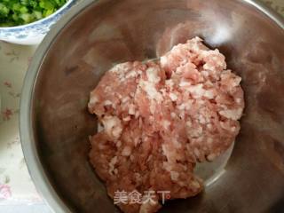 猪肉圆白菜粉条包的做法步骤：4