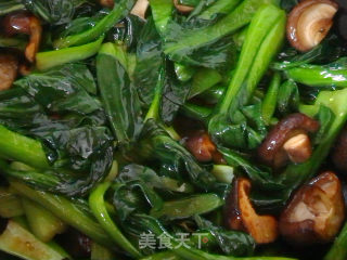 香菇油菜的做法步骤：6