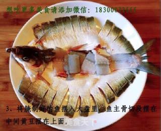 清蒸翘嘴鱼的做法步骤：2