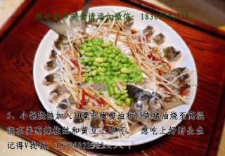 清蒸翘嘴鱼的做法步骤：4
