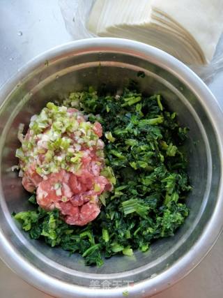 菠菜馄饨的做法步骤：3