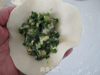 韭菜鲜肉煎饺的做法步骤：10