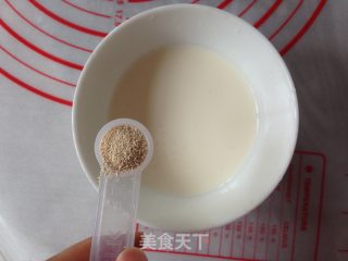 蔓越莓淡奶油软面包的做法步骤：2