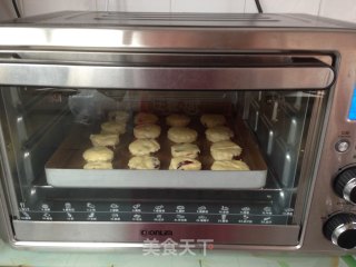 蔓越莓淡奶油软面包的做法步骤：8