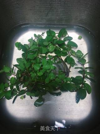 薄荷瘦肉粥的做法步骤：3