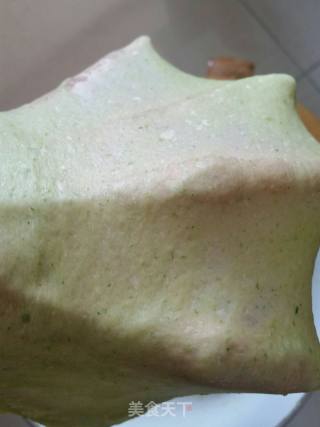 绿叶肉松面包的做法步骤：4