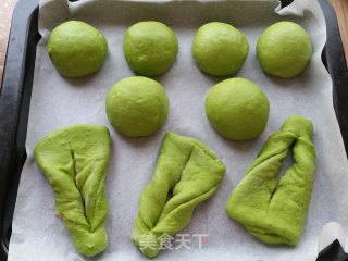 绿叶肉松面包的做法步骤：14