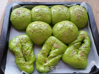 绿叶肉松面包的做法步骤：16