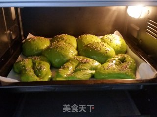 绿叶肉松面包的做法步骤：17