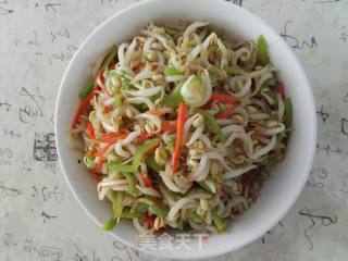 清炒绿豆芽的做法步骤：3