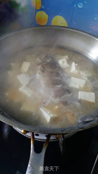 鲫鱼豆腐汤的做法步骤：5