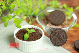 酸奶盆栽的做法步骤：4