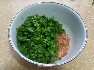 猪肉香菜馄饨的做法步骤：4
