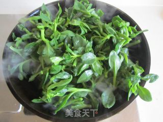 蒜蓉炒田七叶的做法步骤：3