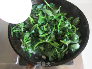 蒜蓉炒田七叶的做法步骤：4
