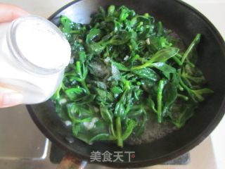 蒜蓉炒田七叶的做法步骤：5