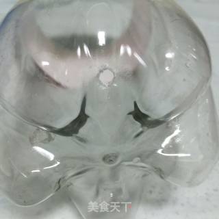 用可乐甁发豆芽的做法步骤：2