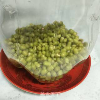 用可乐甁发豆芽的做法步骤：3