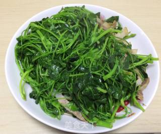 咸肉炒磨盘头（金花菜）的做法步骤：8