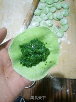 小苜蓿鸡蛋饺子的做法步骤：8