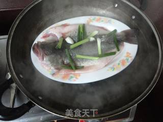 清蒸鲈鱼的做法步骤：4