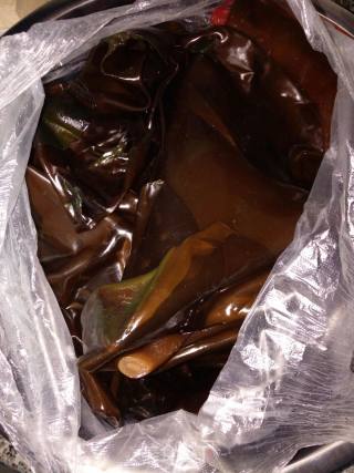 凉拌蒜香海带的做法步骤：1